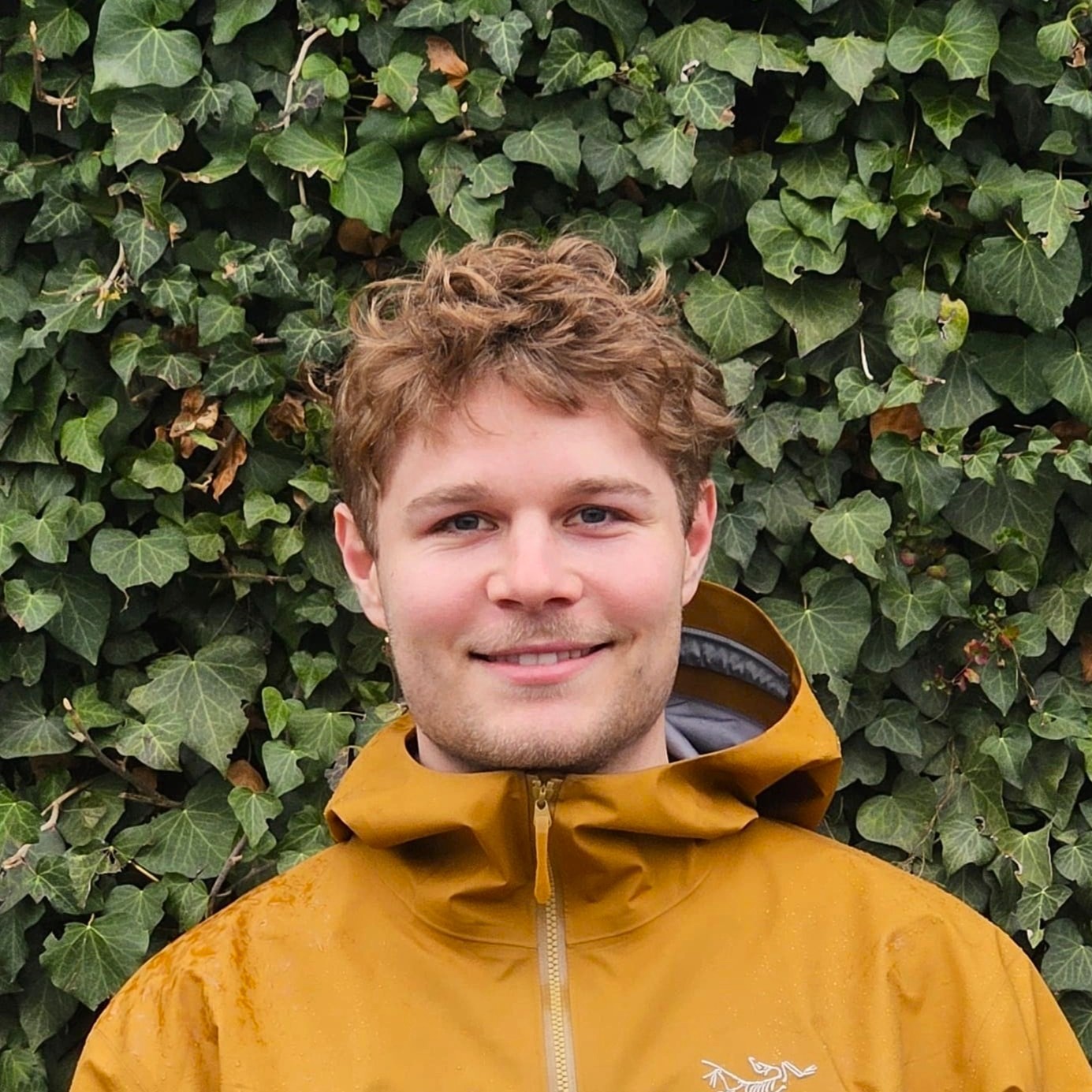 Nico Lipp